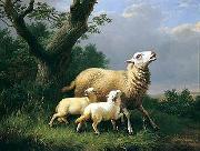 unknow artist Sheep 074 Spain oil painting artist